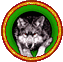 Wolf Wolf