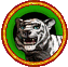 White tiger White tiger