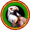 Griffin Griffin